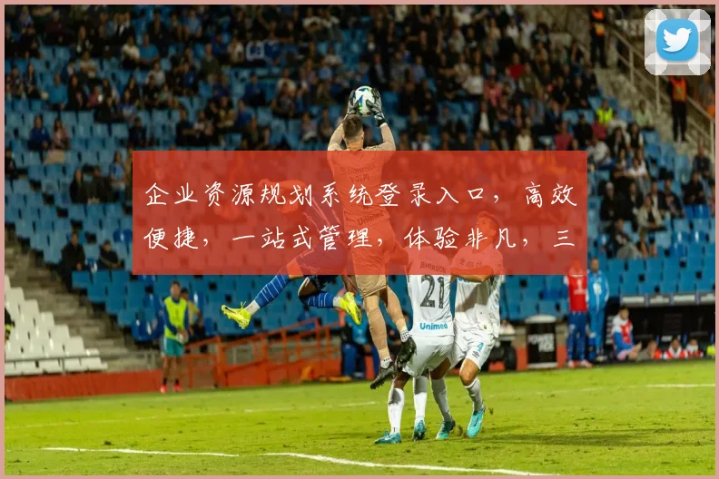 企业资源规划系统登录入口，高效便捷，一站式管理，体验非凡，三步登录，尽享企业智慧。