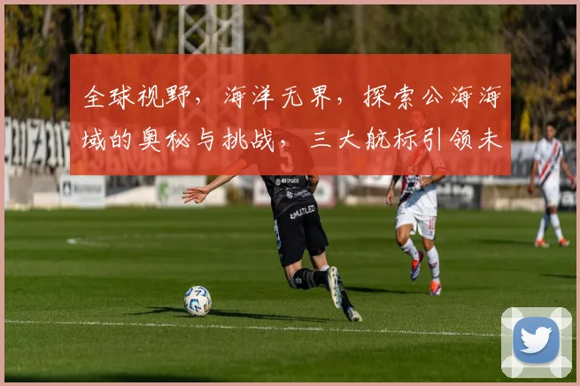 全球视野，海洋无界，探索公海海域的奥秘与挑战，三大航标引领未来