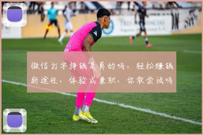 微信打字挣钱是真的吗，轻松赚钱新途径，体验式兼职，你敢尝试吗