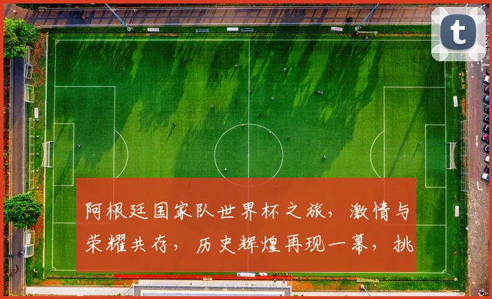 阿根廷国家队世界杯之旅，激情与荣耀共存，历史辉煌再现一幕，挑战与梦想共舞。